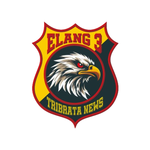 Logo E3MN